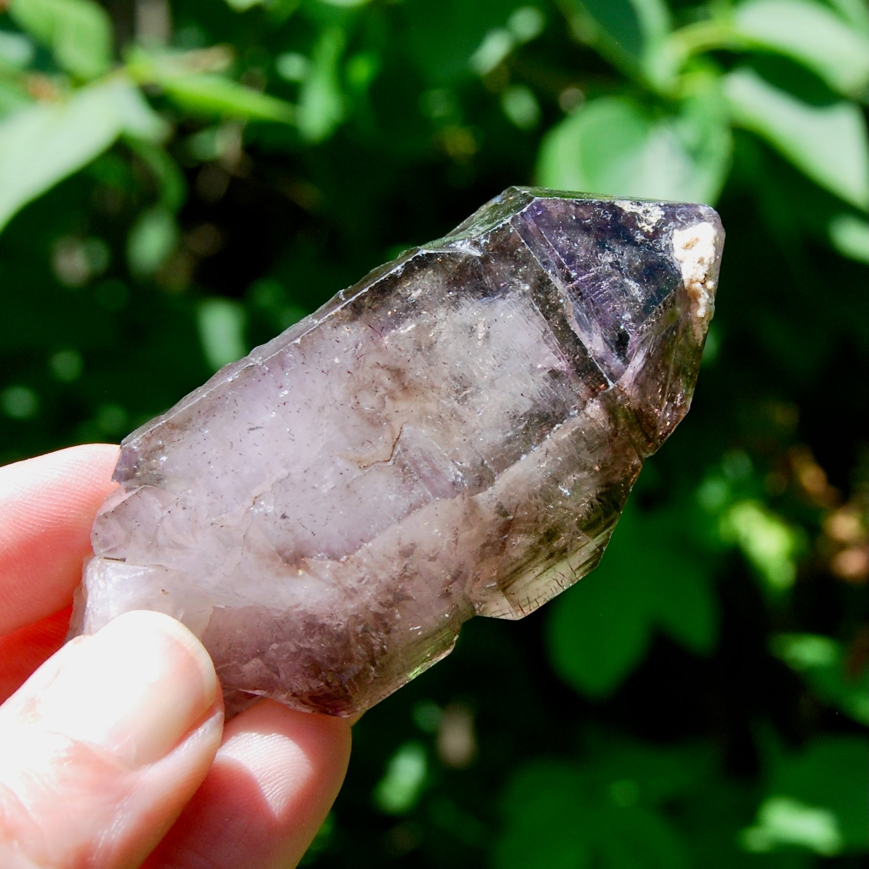 DT ET Elestial Enhydro Amethyst Quartz Crystal Scepter