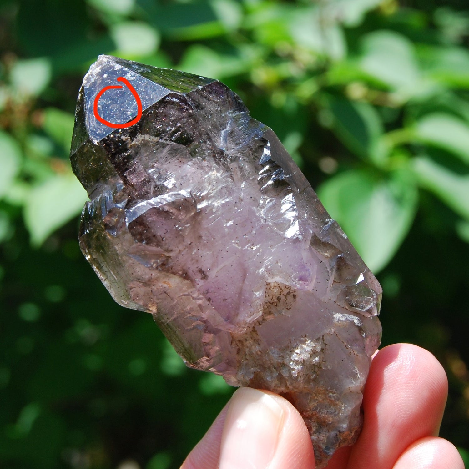 DT ET Elestial Enhydro Amethyst Quartz Crystal Scepter