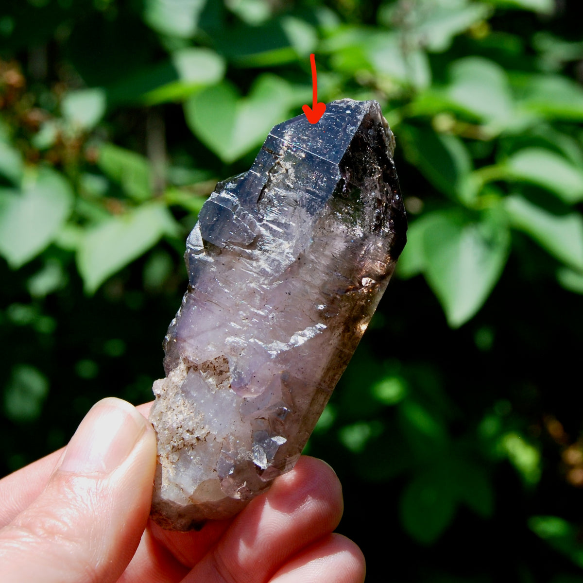 DT ET Elestial Enhydro Amethyst Quartz Crystal Scepter