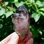 DT ET Elestial Enhydro Amethyst Quartz Crystal Scepter