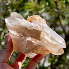 Load image into Gallery viewer, Channeler Pink Shadow Smoky Lemurian Seed Quartz Crystal Starbrary Cluster, Brazil
