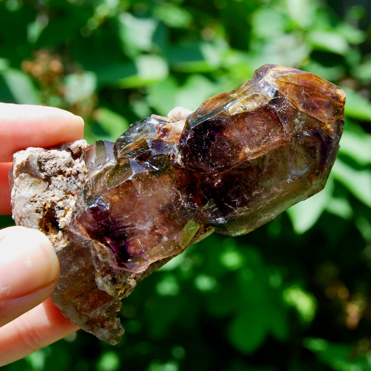 DT ET Elestial Rutile Amethyst Quartz Crystal Scepter, Gemmy Smoky Chiredzi Amethyst, Zimbabwe