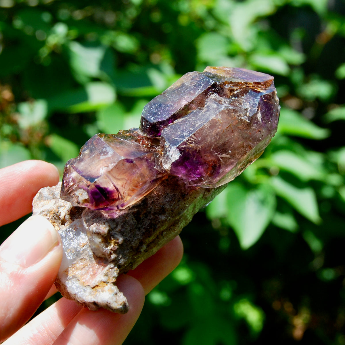 DT ET Elestial Rutile Amethyst Quartz Crystal Scepter, Gemmy Smoky Chiredzi Amethyst, Zimbabwe