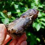 DT ET Elestial Rutile Amethyst Quartz Crystal Scepter, Gemmy Smoky Chiredzi Amethyst, Zimbabwe