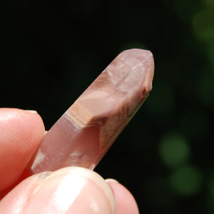 Pink Lithium Amphibole Quartz Crystal