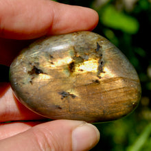 Load image into Gallery viewer, Sunset Labradorite Crystal Palm Stone, Golden Labradorite
