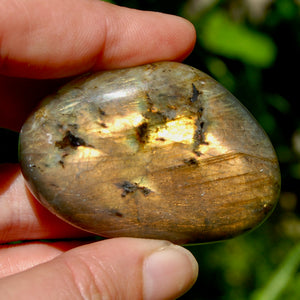 Sunset Labradorite Crystal Palm Stone, Golden Labradorite