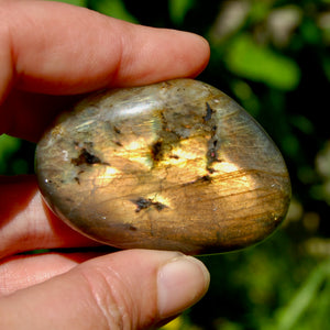 Sunset Labradorite Crystal Palm Stone, Golden Labradorite