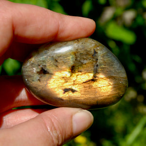 Sunset Labradorite Crystal Palm Stone, Golden Labradorite