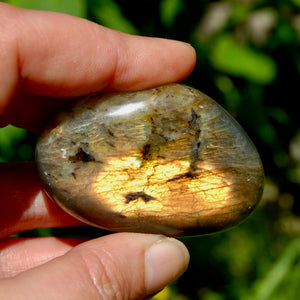 Sunset Labradorite Crystal Palm Stone, Golden Labradorite