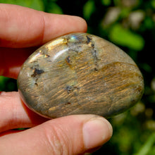 Load image into Gallery viewer, Sunset Labradorite Crystal Palm Stone, Golden Labradorite
