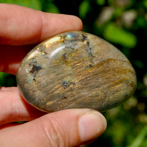 Sunset Labradorite Crystal Palm Stone, Golden Labradorite