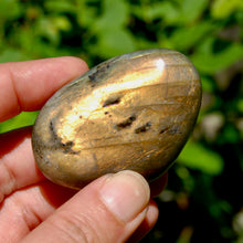 Load image into Gallery viewer, Sunset Labradorite Crystal Palm Stone, Golden Labradorite
