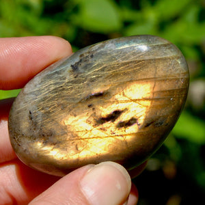 Sunset Labradorite Crystal Palm Stone, Golden Labradorite