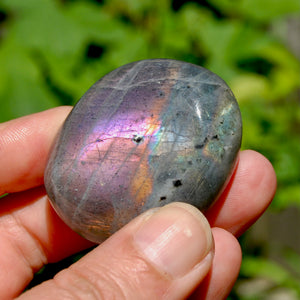 Purple Pink Labradorite Crystal Palm Stone