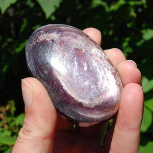 Gem Lepidolite Crystal Palm Stone