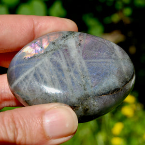 Purple Labradorite Crystal Palm Stone