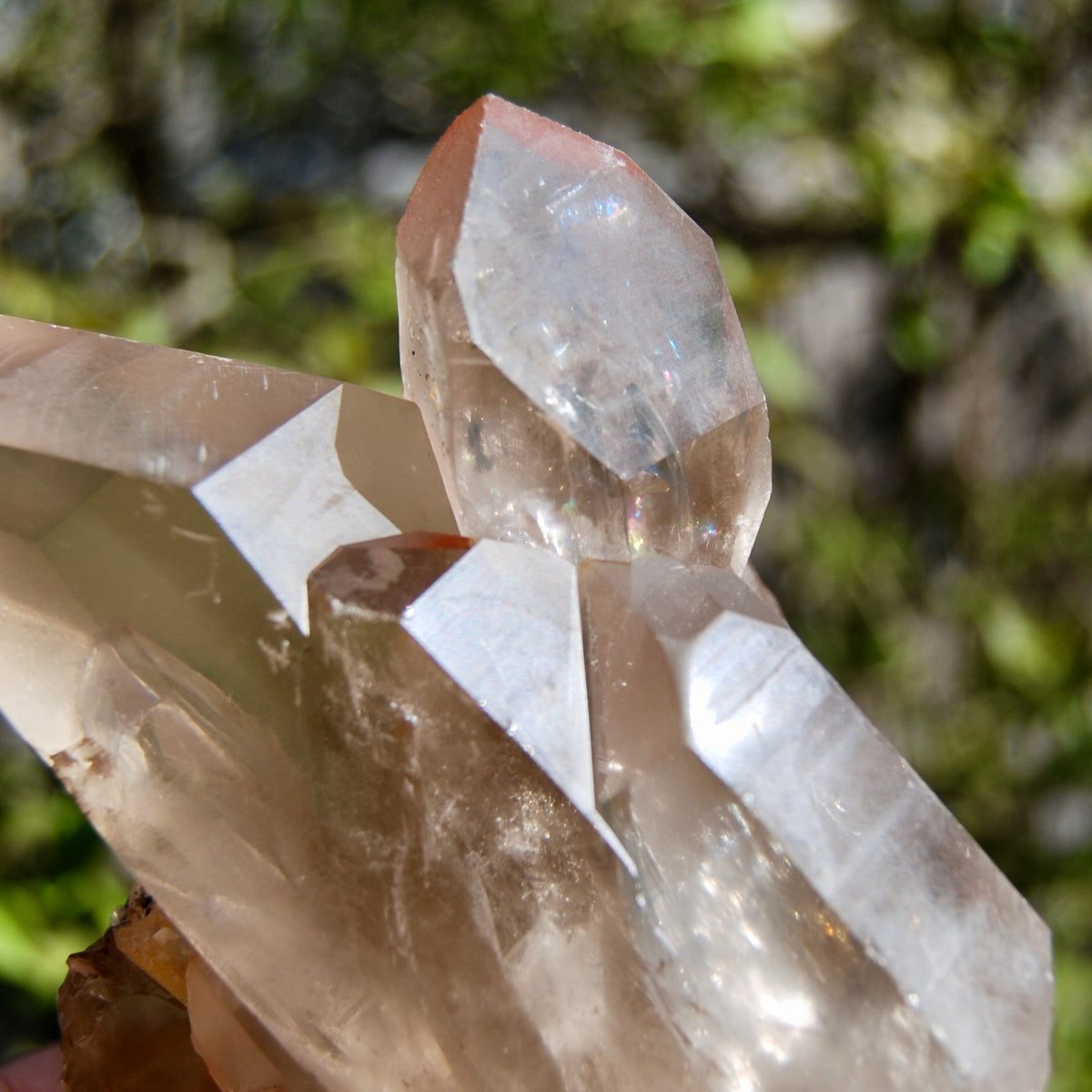 Channeler Pink Shadow Smoky Lemurian Seed Quartz Crystal Starbrary Cluster, Brazil