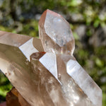 Channeler Pink Shadow Smoky Lemurian Seed Quartz Crystal Starbrary Cluster, Brazil
