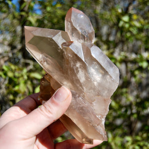 Channeler Pink Shadow Smoky Lemurian Seed Quartz Crystal Starbrary Cluster, Brazil