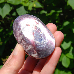 Gem Lepidolite Crystal Palm Stone