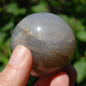 2in 177g Blue Rose Quartz x Golden Healer Crystal Sphere