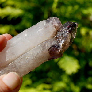 Tantric Twin Smoky Amethyst Quartz Crystal Elestial Scepter