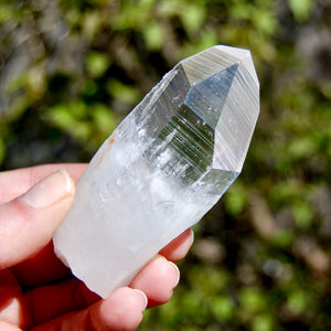 Yin Yang Lightning Strike Blades of Light Lemurian Crystal, Optical Quartz, Colombia