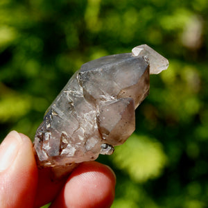 RARE DT Cross Smoky Amethyst Quartz Crystal Elestial Scepter Tantric Twin