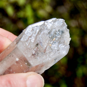 ET DT Record Keeper Colombian Lemurian Quartz Crystal Starbrary Devic Temple Rainbows