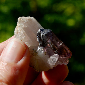 DT Tantric Twin Smoky Amethyst Quartz Crystal Cluster