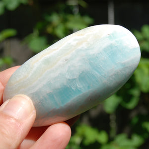 Caribbean Blue Calcite Crystal Palm Stone