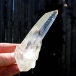 Record Keeper Dow Channeler Lemurian Seed Quartz Crystal Laser Cluster, Boyaca, Colombia