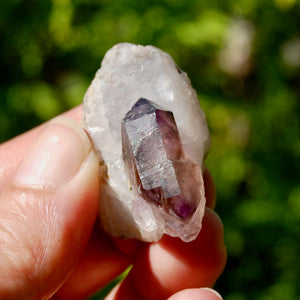 DT Tantric Twin Smoky Amethyst Quartz Crystal Cluster