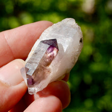 Load image into Gallery viewer, DT Tantric Twin Smoky Amethyst Quartz Crystal Cluster
