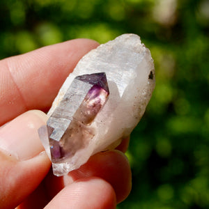 DT Tantric Twin Smoky Amethyst Quartz Crystal Cluster