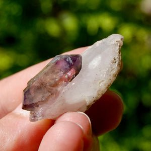 DT Tantric Twin Smoky Amethyst Quartz Crystal Cluster