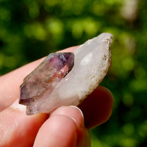 DT Tantric Twin Smoky Amethyst Quartz Crystal Cluster