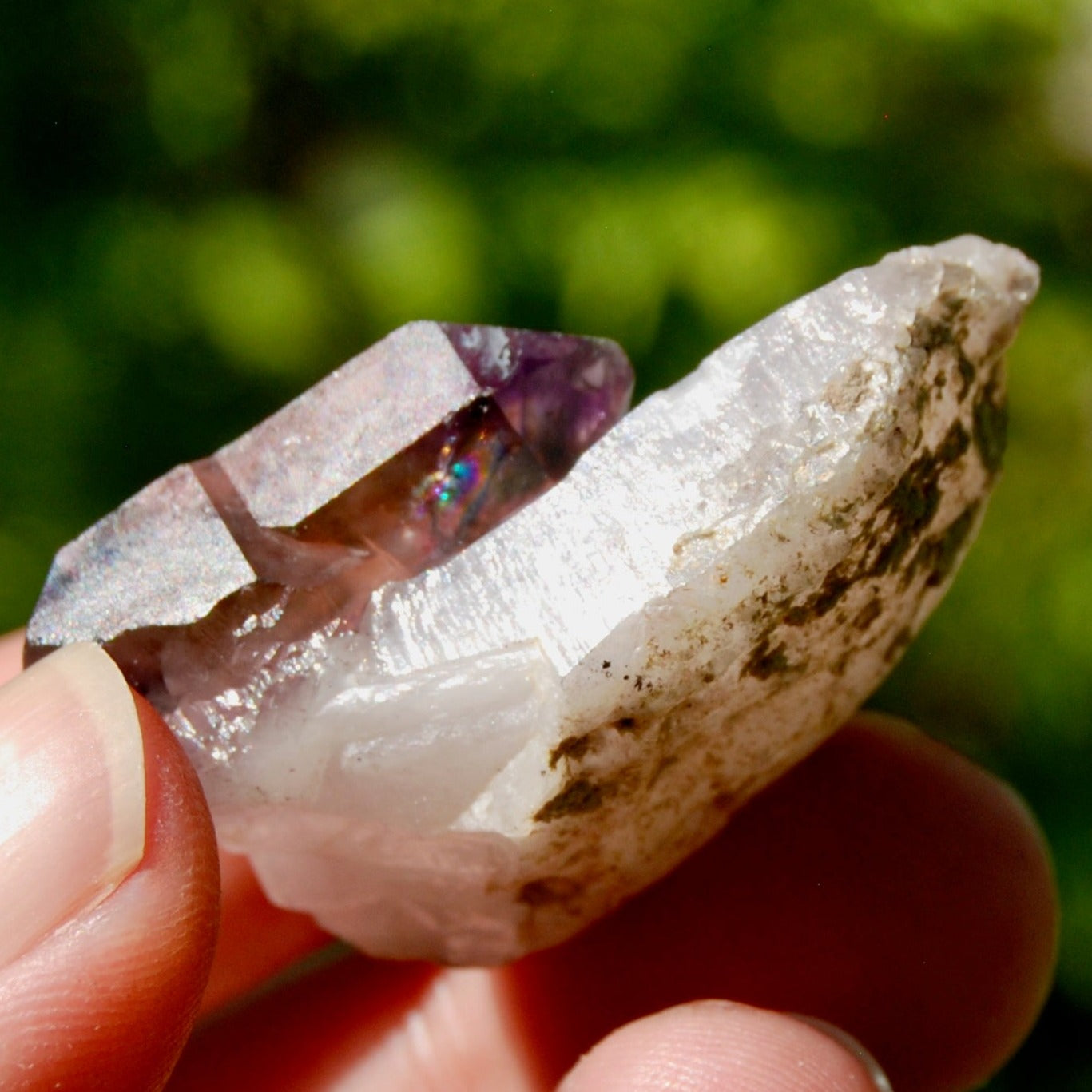 DT Tantric Twin Smoky Amethyst Quartz Crystal Cluster