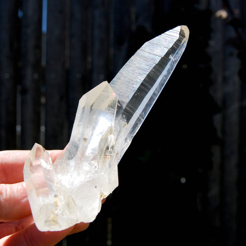 Record Keeper Dow Channeler Lemurian Seed Quartz Crystal Laser Cluster, Boyaca, Colombia