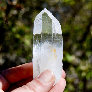 Yin Yang Lightning Strike Blades of Light Lemurian Crystal, Optical Quartz, Colombia