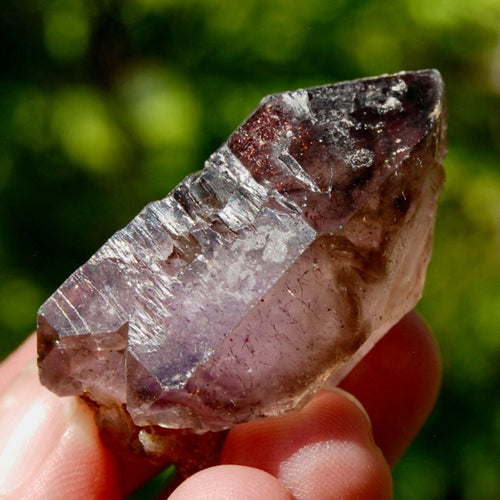 Smoky Elestial Amethyst Quartz Crystal Scepter, Specular Hematite Lepidocrocite, Zimbabwe