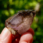 Smoky Elestial Amethyst Quartz Crystal Scepter, Specular Hematite Lepidocrocite, Zimbabwe