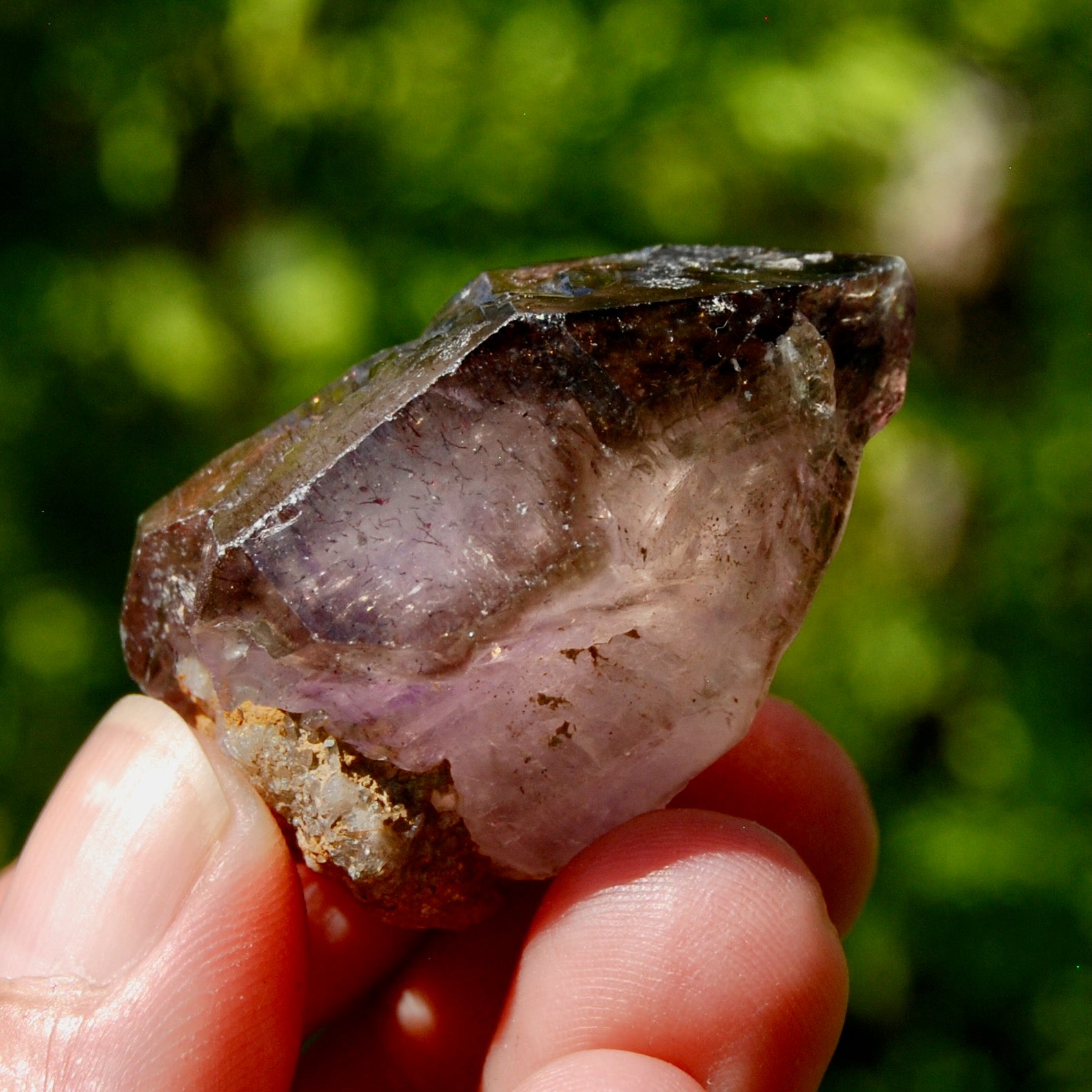 Smoky Elestial Amethyst Quartz Crystal Scepter, Specular Hematite Lepidocrocite, Zimbabwe