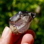 Smoky Elestial Amethyst Quartz Crystal Scepter, Specular Hematite Lepidocrocite, Zimbabwe