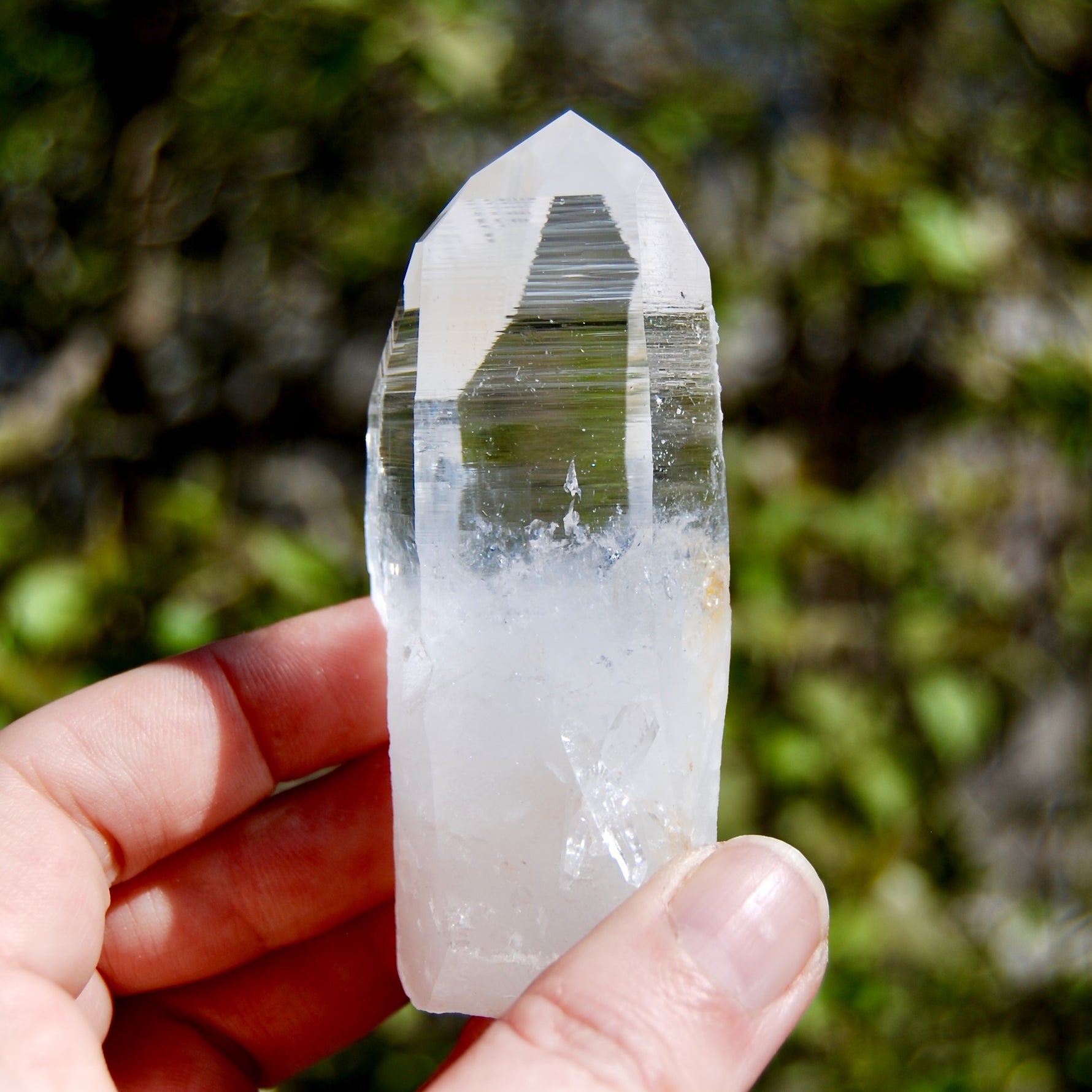 Yin Yang Lightning Strike Blades of Light Lemurian Crystal, Optical Quartz, Colombia