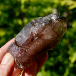 Smoky Amethyst Quartz Crystal Elestial, Specular Hematite Lepidocrocite, Zimbabwe