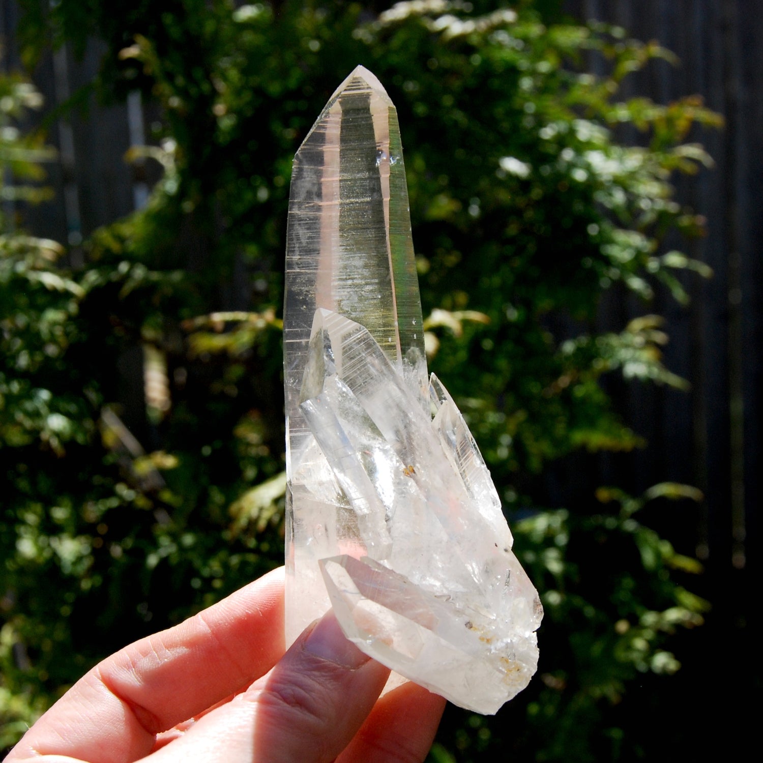 Record Keeper Dow Channeler Lemurian Seed Quartz Crystal Laser Cluster, Boyaca, Colombia