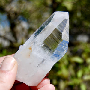 Yin Yang Lightning Strike Blades of Light Lemurian Crystal, Optical Quartz, Colombia