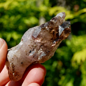 Smoky Amethyst Quartz Crystal Elestial, Specular Hematite Lepidocrocite